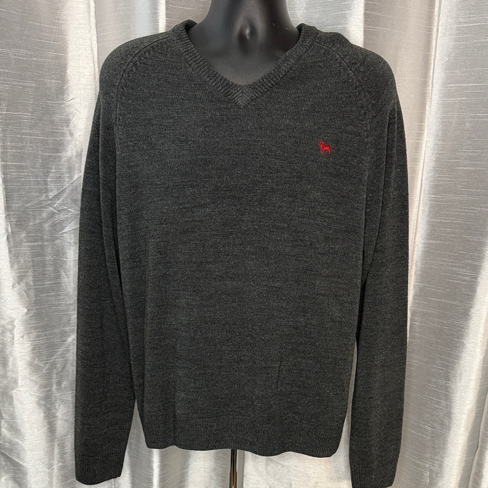 Aeropostale V Neck Sweater Acrylic Gray Raglan Long Sleeve Red Dog Logo Mens XL